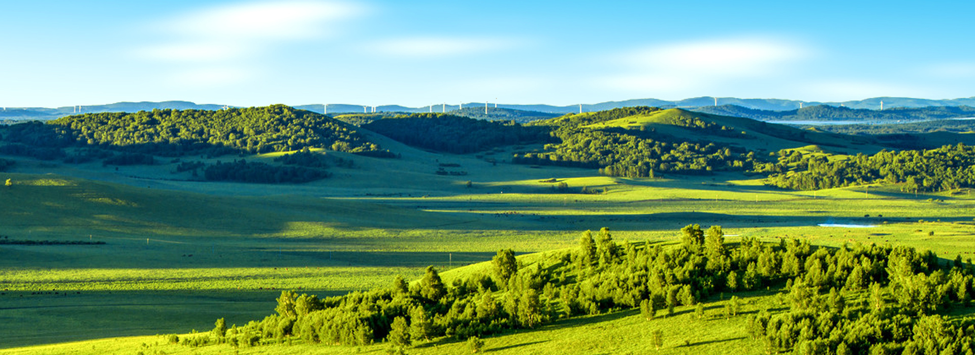 溫州木材集團有限公司 溫州木材集團有限公司