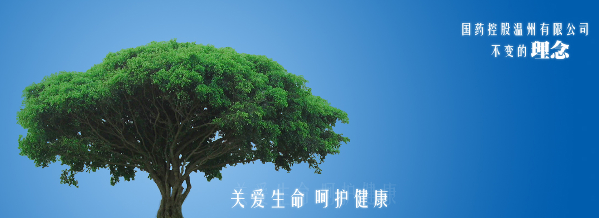 國(guó)藥控股溫州有限公司 國(guó)藥控股溫州有限公司